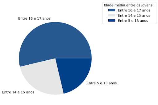 Gráfico que mostra que 53% das crianças em trabalho infantil tem entre 16 e 17 anos, 25% tem entre 14 e 15 anos e 21% tem entre 5 e 13 anos
